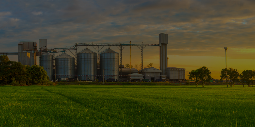 Contact - Export IL